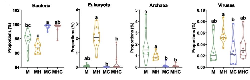 Open access visualization of Violin Plot, Scatter Plot, Microbial Domains, Rumen Contents, Lambs