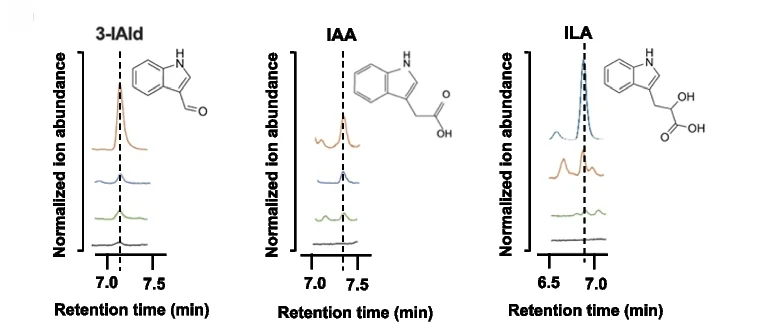 Open access visualization of Line Plot, Bifidobacterium, Tryptophan Metabolites, HPLC, In Vitro
