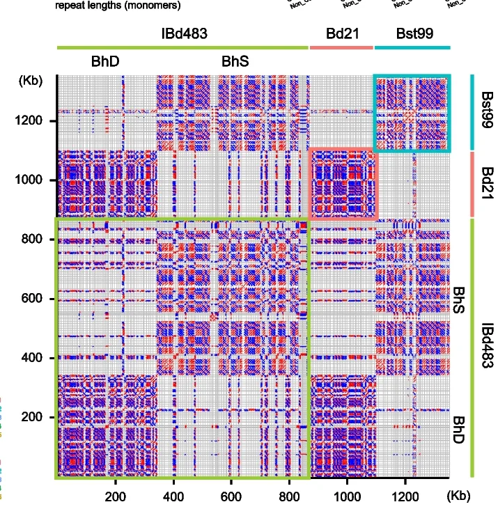 Open access visualization of Heatmap, Dot Plot, Centromeric Intact CRM, Genome Assembly, Search Window