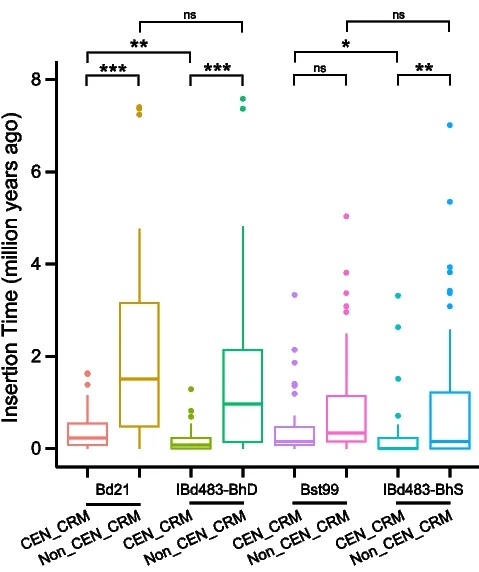 Open access visualization of Box Plot, Scatter Plot, Insertion Time, Intact CRM Elements, Centromere