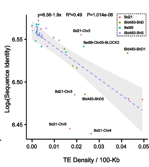 Open access visualization of Scatter Plot, Regression Plot, LTR Density, Satellite Monomer Identity, Chromosome
