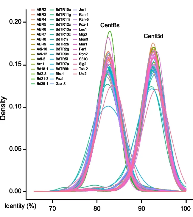 Open access visualization of Line Plot, Density Plot, Ridge Plot, WGS-seq reads, CentBd
