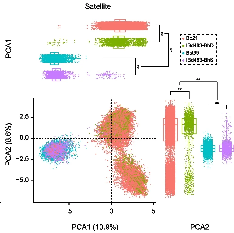 Open access visualization of Scatter Plot, Box Plot, PCA, PC1, PC2