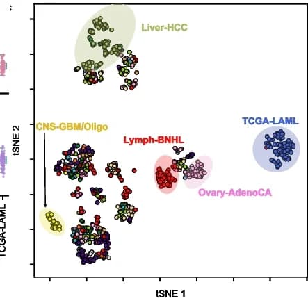 Open access visualization of Scatter Plot, UMAP, PCA, t-SNE Plot, Reactions