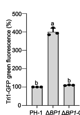 Open access visualization of Bar Plot, Error Bars, GFP Signal Intensity