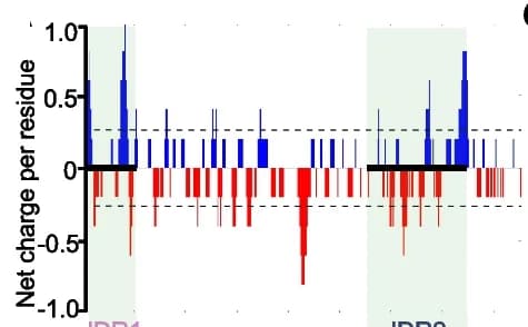 Open access visualization of Bar Plot, Net Charge, Residue, BP1, CIDER Web Server