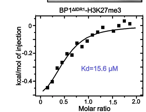 Open access visualization of Scatter Plot, Regression Plot, Isothermal Titration Calorimetry, ITC, Binding Affinity