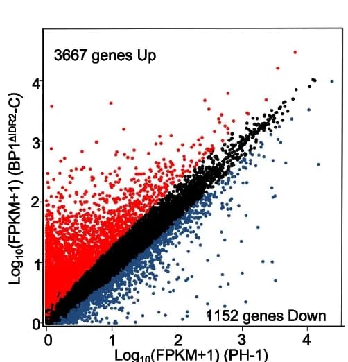 Open access visualization of Scatter Plot, Volcano Plot, Differentially Expressed Genes, RNA-seq, Upregulated Genes