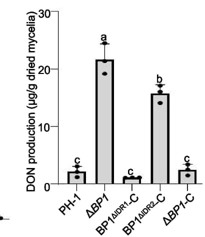 Open access visualization of Bar Plot, Error Bars, DON Production, F. graminearum, Wild-type