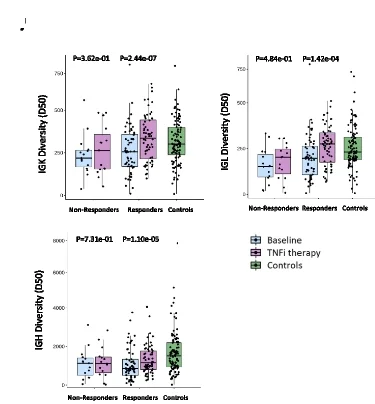 Open access visualization of Box Plot, Scatter Plot, TNFi Therapy, AIRR Diversity, BCR Chains