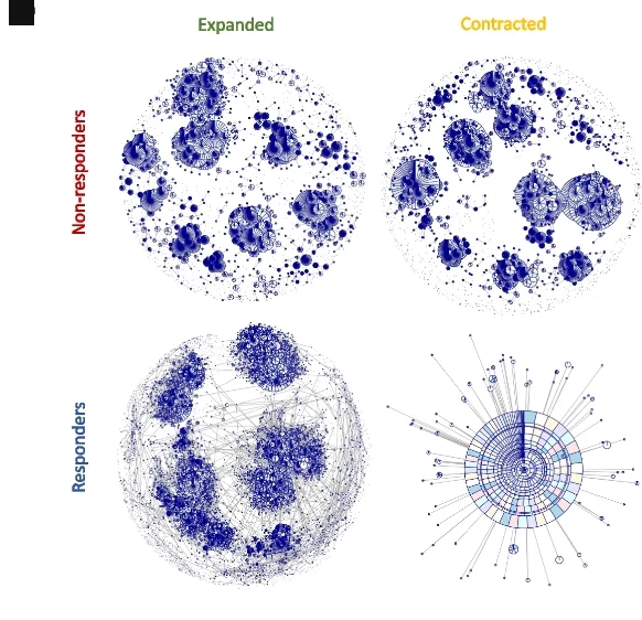 Open access visualization of Network, Scatter Plot, Bubble Plot, Chord, CDR3 Amino Acid Sequence