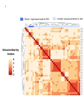 Open access visualization of Heatmap, Clustered, K-mers, Rheumatoid Arthritis, K-mer Expression
