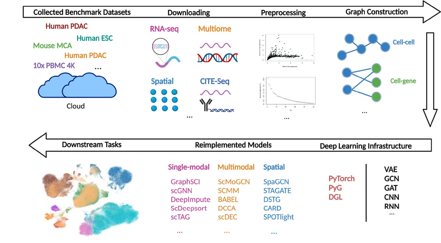 Open access visualization of Workflow, Flowchart, Scatter Plot, Network, Single-Cell Omics