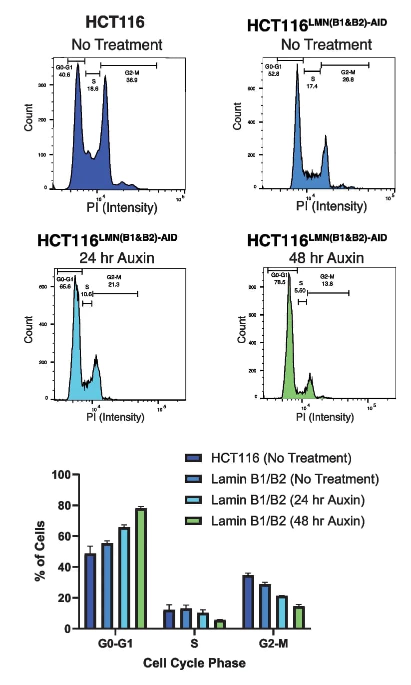 Open access visualization of Bar Plot, Histogram, Error Bars, Propidium Iodide Staining, Cell Cycle