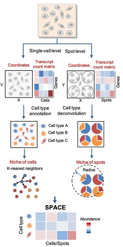 Open access visualization of Workflow, Pie Chart, Illustration, Heatmap, Scatter Plot