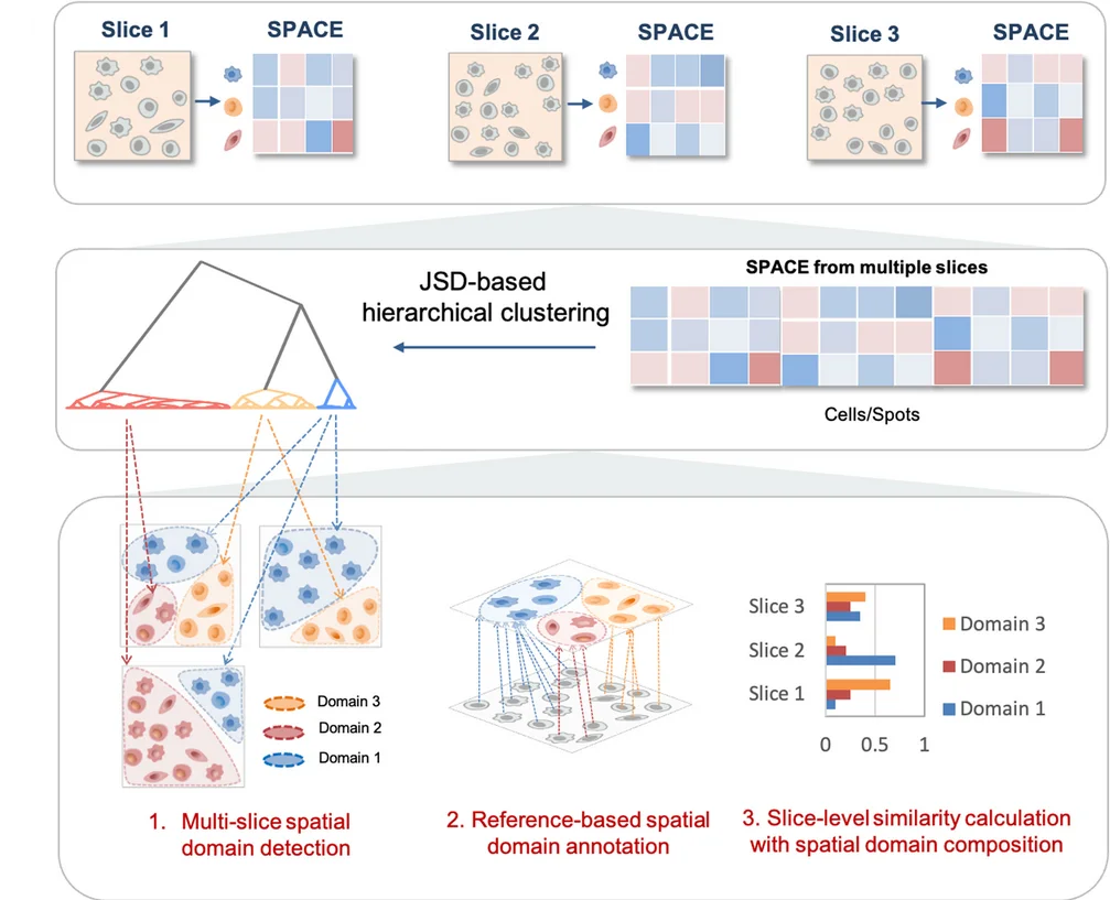 Open access visualization of Workflow, Illustration, Bar Plot, Multi-Slice Spatial Domain Analysis, Multi-Slice Domain Detection