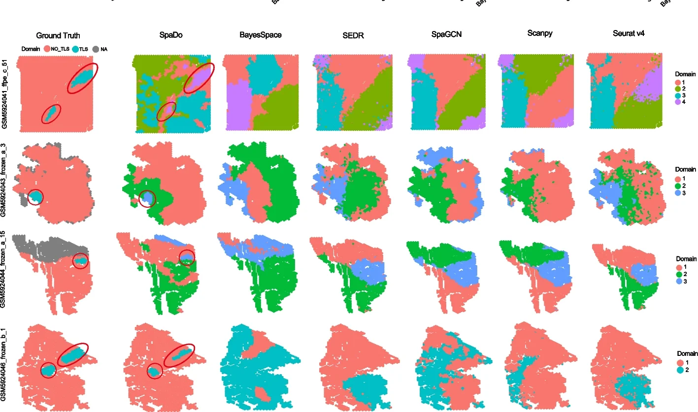 Open access visualization of Scatter Plot, SpaDo, BayesSpace, SEDR, SpaGCN