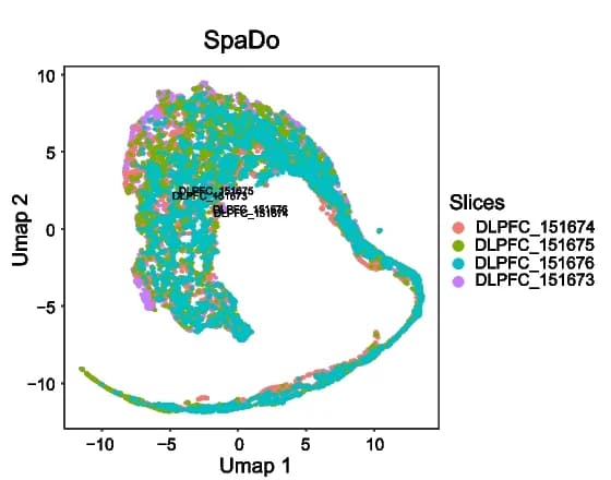 Open access visualization of UMAP, SpaDo, DLPFC Slices