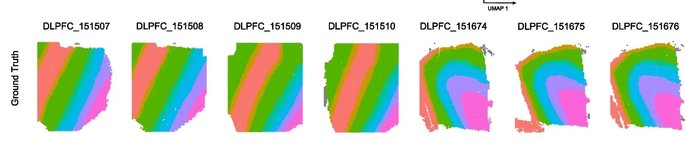 Open access visualization of UMAP, Spatial Domains, DLPFC Datasets, Manual Annotation