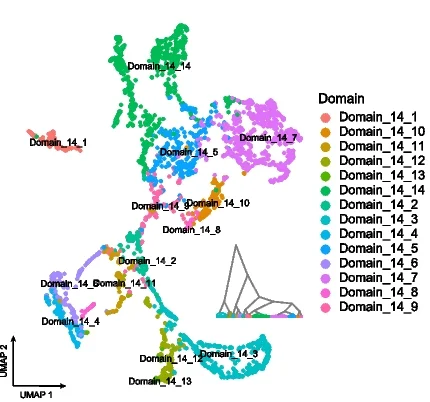 Open access visualization of UMAP, Scatter Plot, Hierarchical Clustering, Spatial Domains, Human Heart Slices