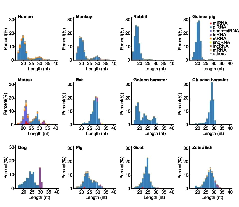 Open access visualization of Bar Plot, Stacked Bar Plot, Histogram, Small RNA, Oocytes
