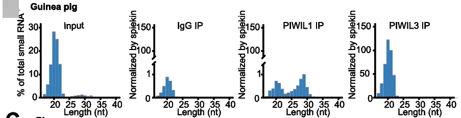 Open access visualization of Histogram, PIWIL1, PIWIL3, RNA Immunoprecipitation, Oocytes