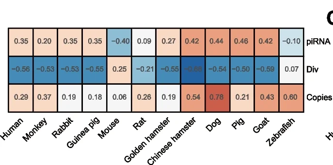 Open access visualization of Heatmap, Pearson’s Correlation, TE mRNA Levels, piRNA Abundance, TE Divergence Rate