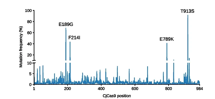 Open access visualization of Line Plot, CjCas9, Amino Acid, Mutation, NGS