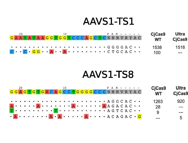 Open access visualization of Illustration, Table Image, GUIDE-Seq Analysis, CjCas9 WT, UltraCjCas9