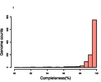 Open access visualization of Histogram, Genome Assembly