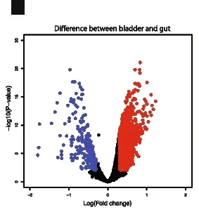 Open access visualization of Volcano Plot, Scatter Plot, Volcano Plots, T Tests, Benjamini and Hochberg Method