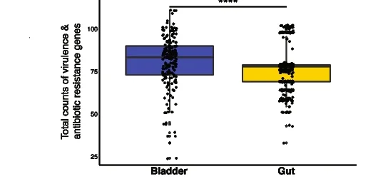 Open access visualization of Box Plot, Scatter Plot, Violin Plot, Virulence, Antibiotic Resistance Genes