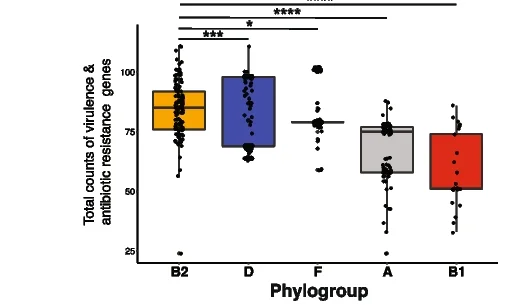Open access visualization of Box Plot, Scatter Plot, Virulence, Antibiotic Resistance Genes, E. coli