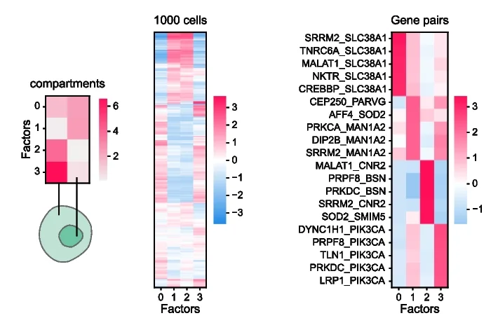 Open access visualization of Heatmap, Clustered, Tensor Decomposition, Factors, Heatmaps