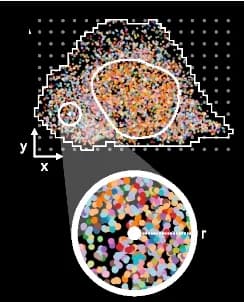 Open access visualization of Scatter Plot, RNAflux, Fluxmap, Gene Composition, U2-OS Cells