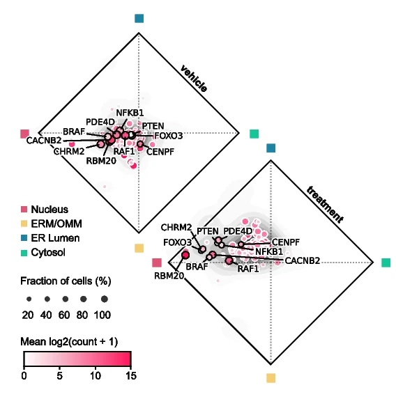 Open access visualization of Scatter Plot, Bubble Plot, Density Plot, Gene Enrichment, Fluxmap