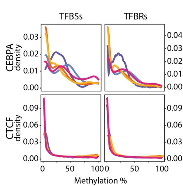 Open access visualization of Line Plot, Density Plot, CpG Methylation Density, TFBRs, TFBSs