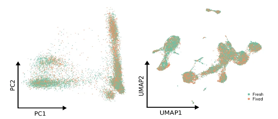 Open access visualization of Scatter Plot, UMAP, PCA, Principal Component Analysis, Uniform Manifold Approximation and Projection