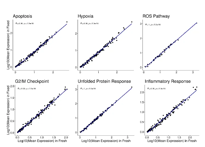 Open access visualization of Scatter Plot, Regression Plot, Linear Regression Model, Biological Hallmarks, Apoptosis
