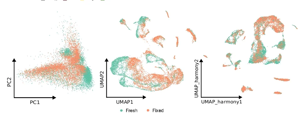 Open access visualization of Scatter Plot, UMAP, PCA, Principal Component Analysis, Uniform Manifold Approximation and Projection