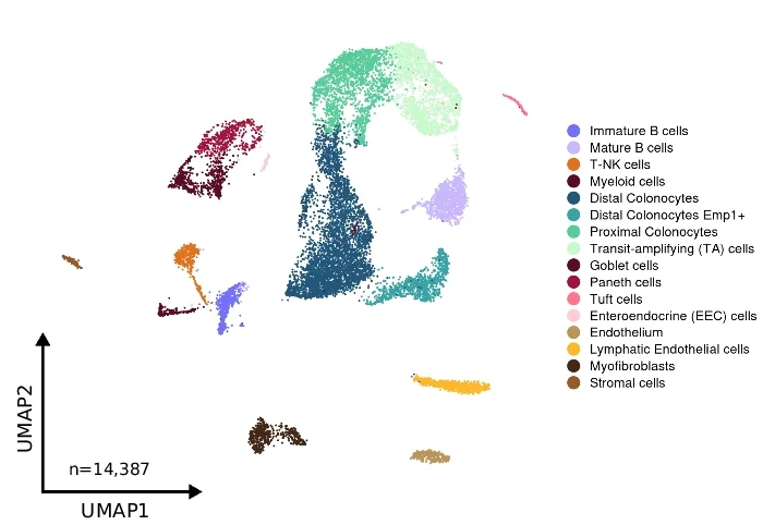 Open access visualization of Scatter Plot, UMAP, UMAP Visualization, Fresh Mouse Colon Cells, Fixed Mouse Colon Cells