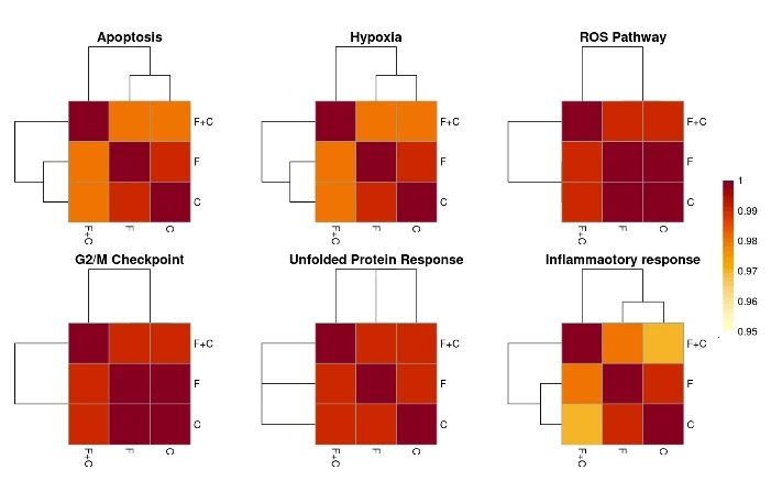 Open access visualization of Heatmap, Clustered, Hierarchical Clustering, Coefficient of Determination, Biological Hallmarks