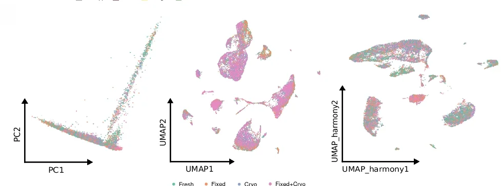 Open access visualization of Scatter Plot, PCA, UMAP, Principal Component Analysis, Uniform Manifold Approximation and Projection