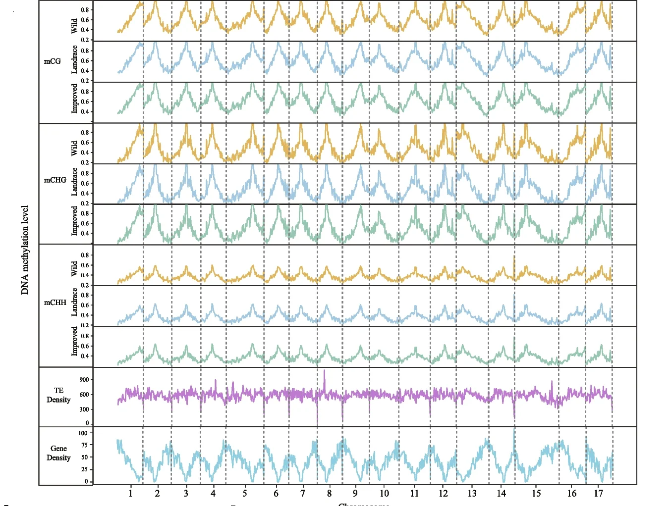 Open access visualization of Line Plot, Density Plot, DNA Methylation Levels, CG Context, CHG Context