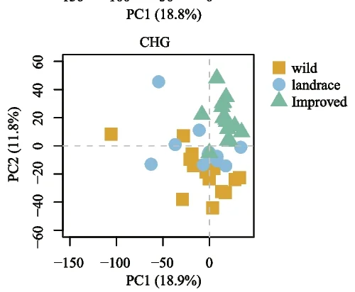 Open access visualization of Scatter Plot, PCA, Principal Component Analysis, DNA Methylation, CHG Context