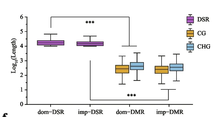 Open access visualization of Box Plot, DNA Sequence Regions, DSRs, CG Context, CHG Context