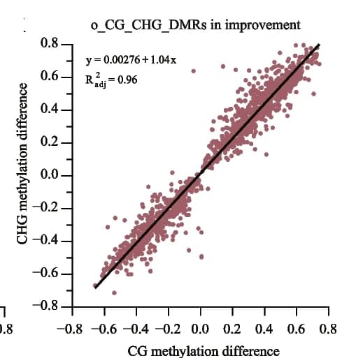 Open access visualization of Scatter Plot, Regression Plot, Correlation Analysis, Methylation Levels, CG Context