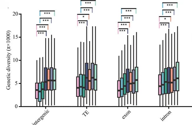 Open access visualization of Box Plot, Genetic Diversity, DMRs, DSRs, NSRs