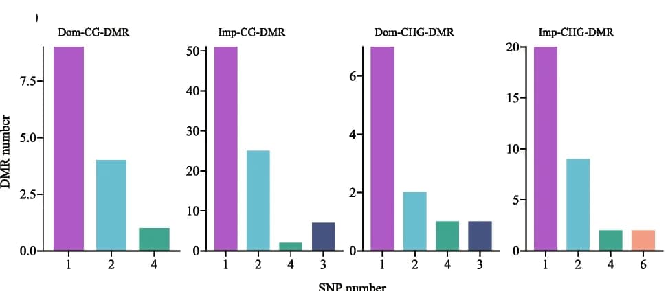 Open access visualization of Bar Plot, SNPs, DMRs, Distribution