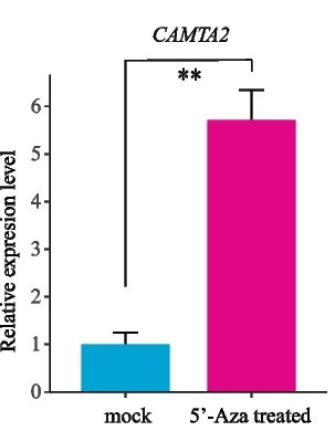 Open access visualization of Bar Plot, Error Bars, CAMTA2 Gene, Pear Callus, Gene Expression